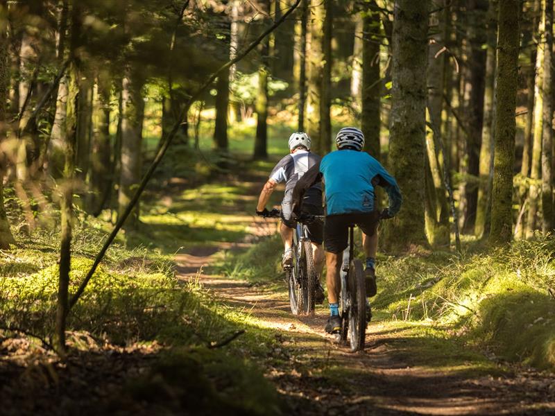 VTT n°1 La Vall'Tout Laveline-du-Houx Grand Est