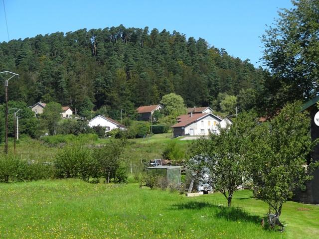 Rando n°15 Circuit des Forfeleuses Fays Grand Est