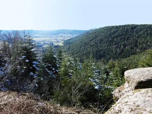 N°29 LE CIRCUIT DES HAUTS DE DOMFAING Domfaing Grand Est