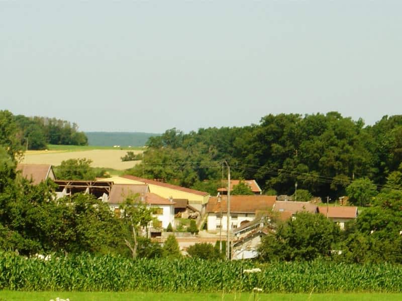 Balade à énigmes sur les chemins de l'eau et de la biodiversité Destord Grand Est