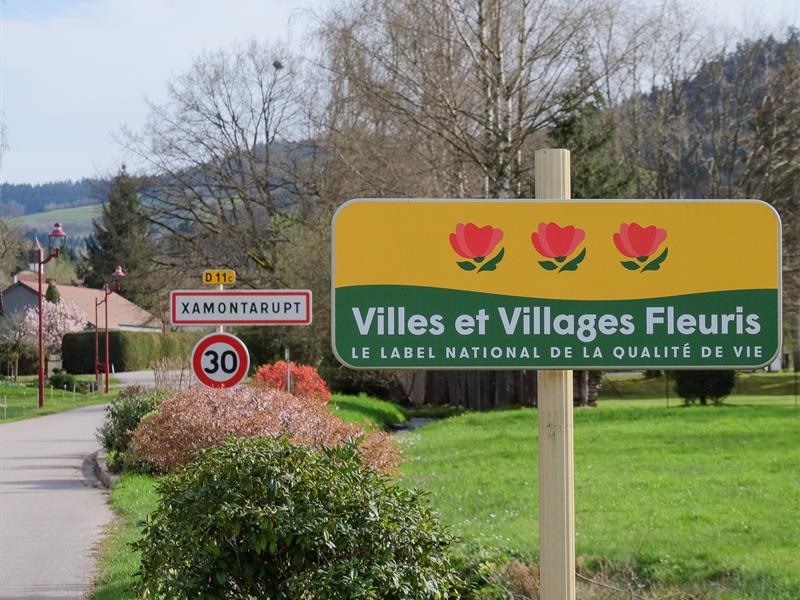 Parcours ludique La balade de Têt'hattards Xamontarupt Grand Est