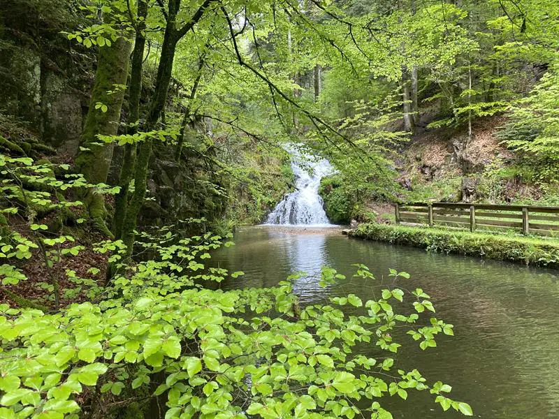 RANDONNÉE LA CASCADE DEPUIS PLOMBIÈRES Plombières-les-Bains Grand Est