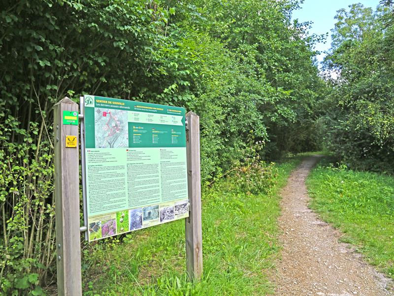 LE SENTIER DE SOUVILLE CIRCUIT FORÊT D'EXCEPTION® Fleury-devant-Douaumont Grand Est