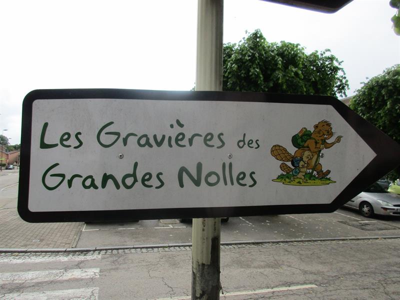 BALADE LES GRAVIERES DES GRANDES NOLLES D1 Corcieux Grand Est