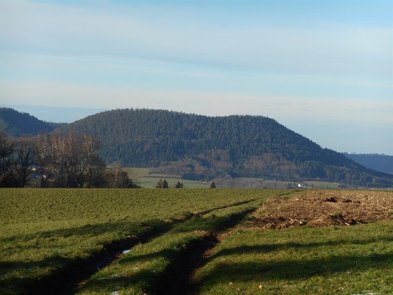 RANDONNEE PEDESTRE LA FOLIE LA CROIX DE L'ORMEAU A2 Corcieux Grand Est