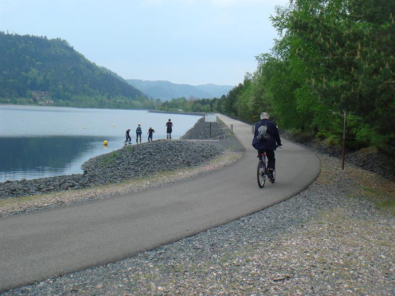 CIRCUIT VTT N°2 AU CŒUR DE LA PLAINE Celles-sur-Plaine Grand Est