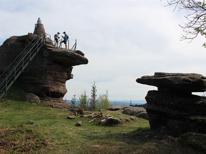 CIRCUIT VTT N°3 AU CŒUR DE LA PLAINE Celles-sur-Plaine Grand Est