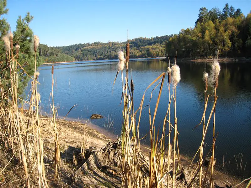 CIRCUIT VTT N°7 AUTOUR DES LACS Pierre-Percée Grand Est