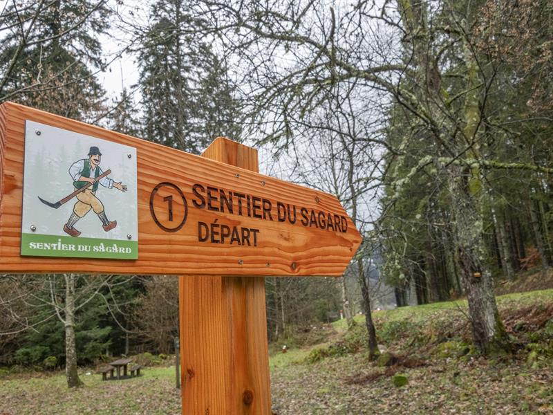 LE SENTIER DU SAGARD Ban-sur-Meurthe-Clefcy Grand Est