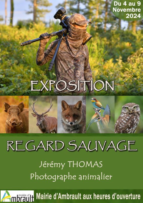 Exposition "Regard Sauvage"