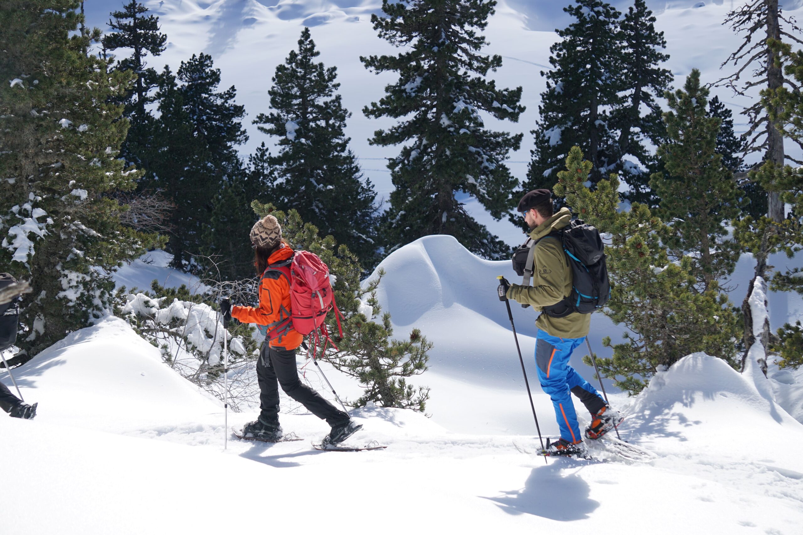 Balade accompagnée en raquettes à neige à la Pierre Saint-Martin