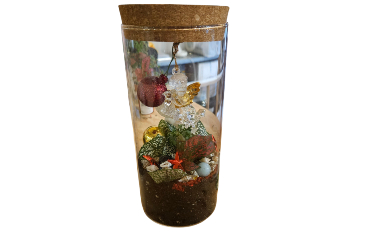 Atelier terrarium de Noël parent-enfant WoMa Paris