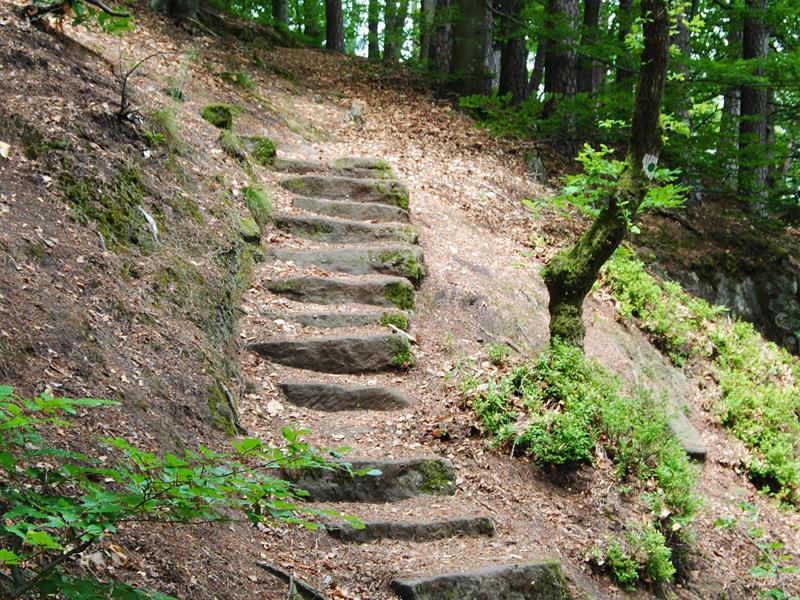 US TRAIL 2 L'AVISON OU HILL D Bruyères Grand Est