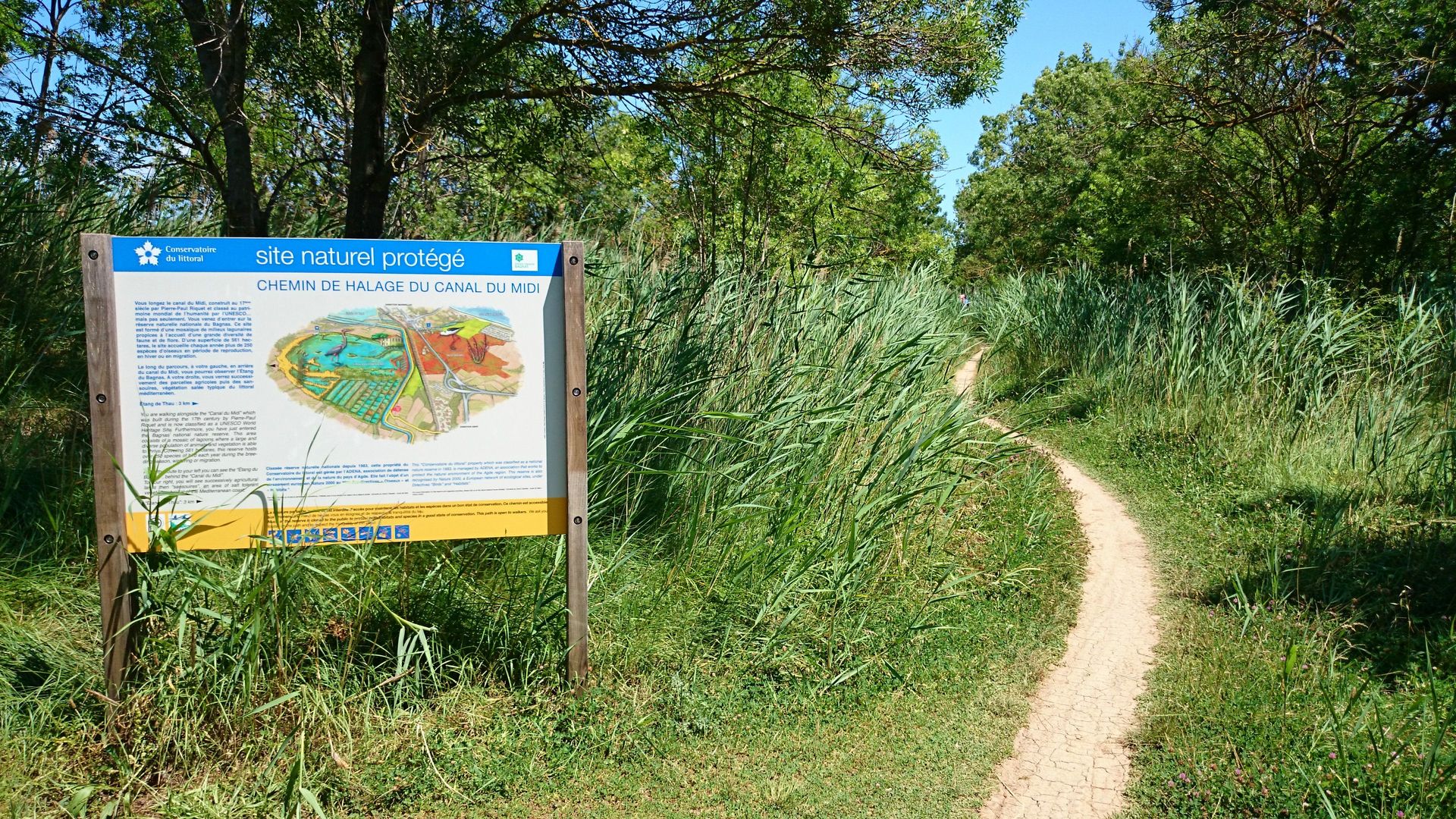 ESPACE VTT FFC 138 CIRCUIT N° 19 DE LA CAVE AU MOULIN Florensac Occitanie