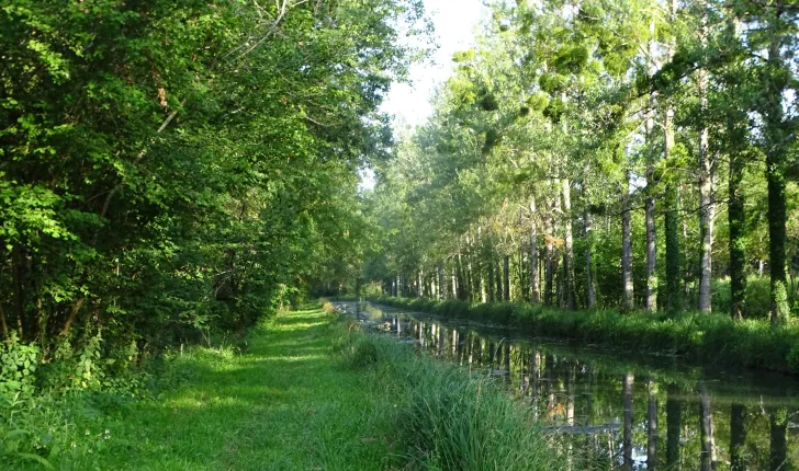 Ecobalade entre canal et prairies humides Méry-sur-Cher Centre-Val de Loire