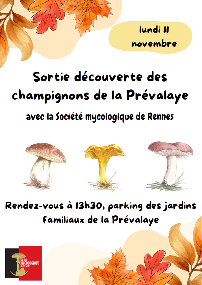 Balade découverte des champignons Écocentre de la Taupinais Rennes