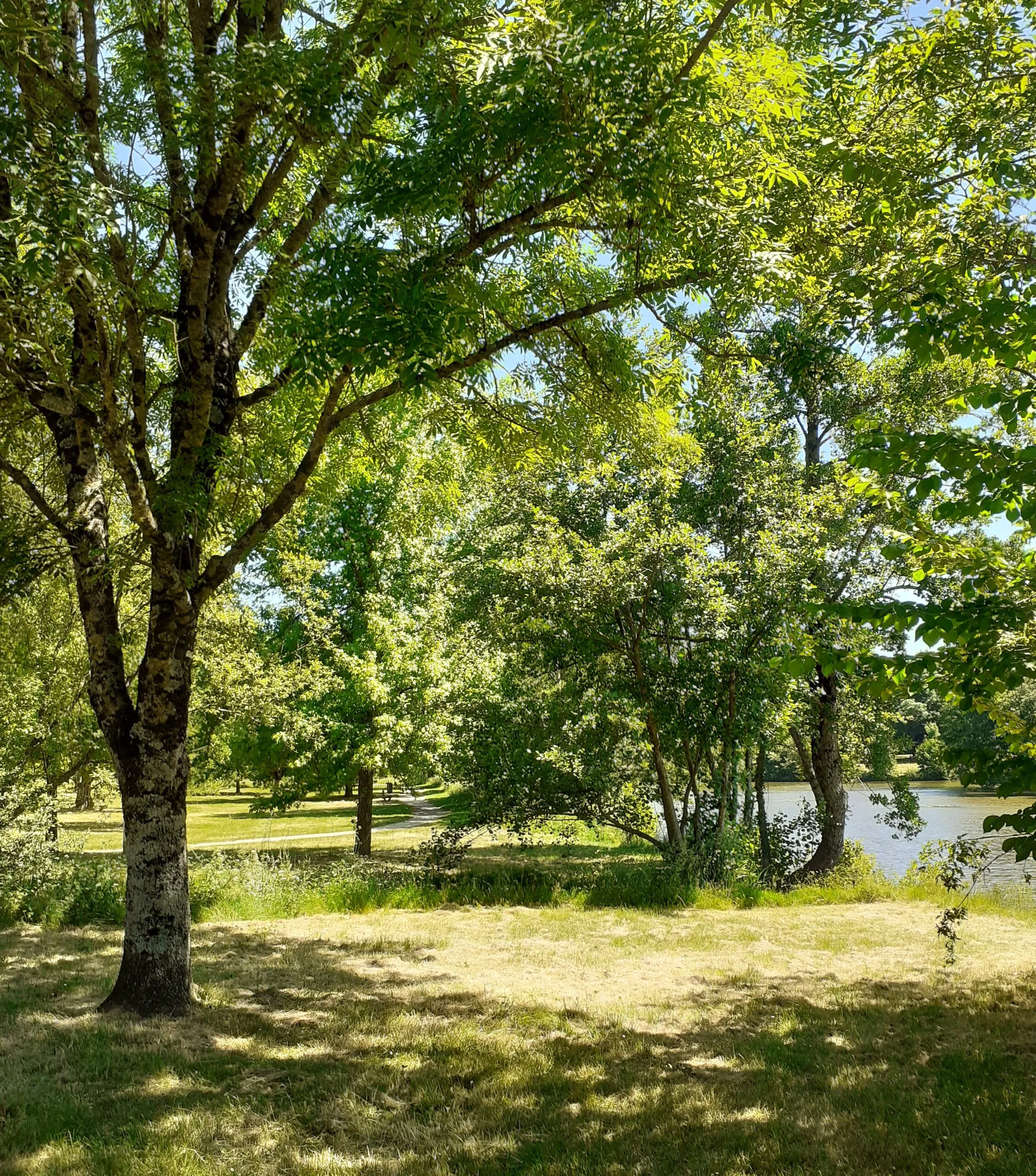 Objectif la Trébesse Parthenay Nouvelle-Aquitaine