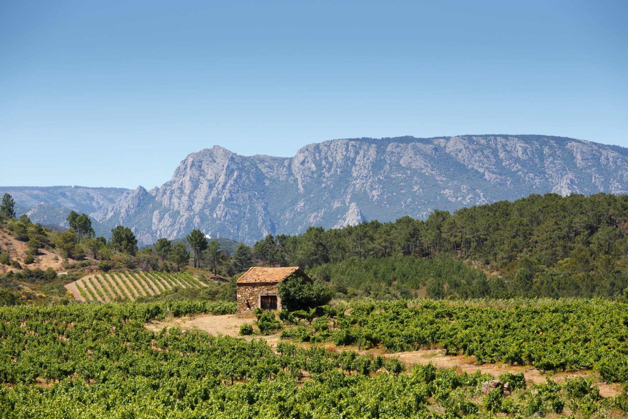 OENORANDO® LE MAS BLANC Berlou Occitanie