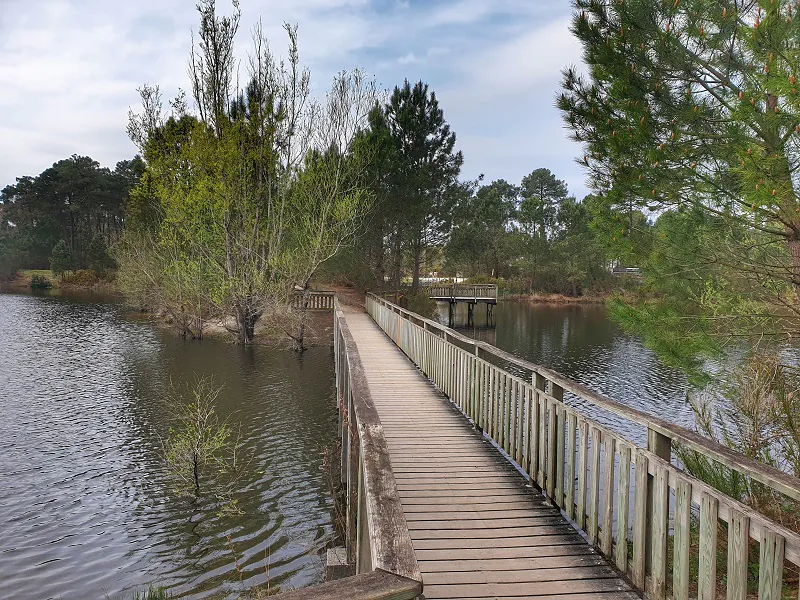 Balade à roulettes Le bois des sources du Peugue Pessac Nouvelle-Aquitaine