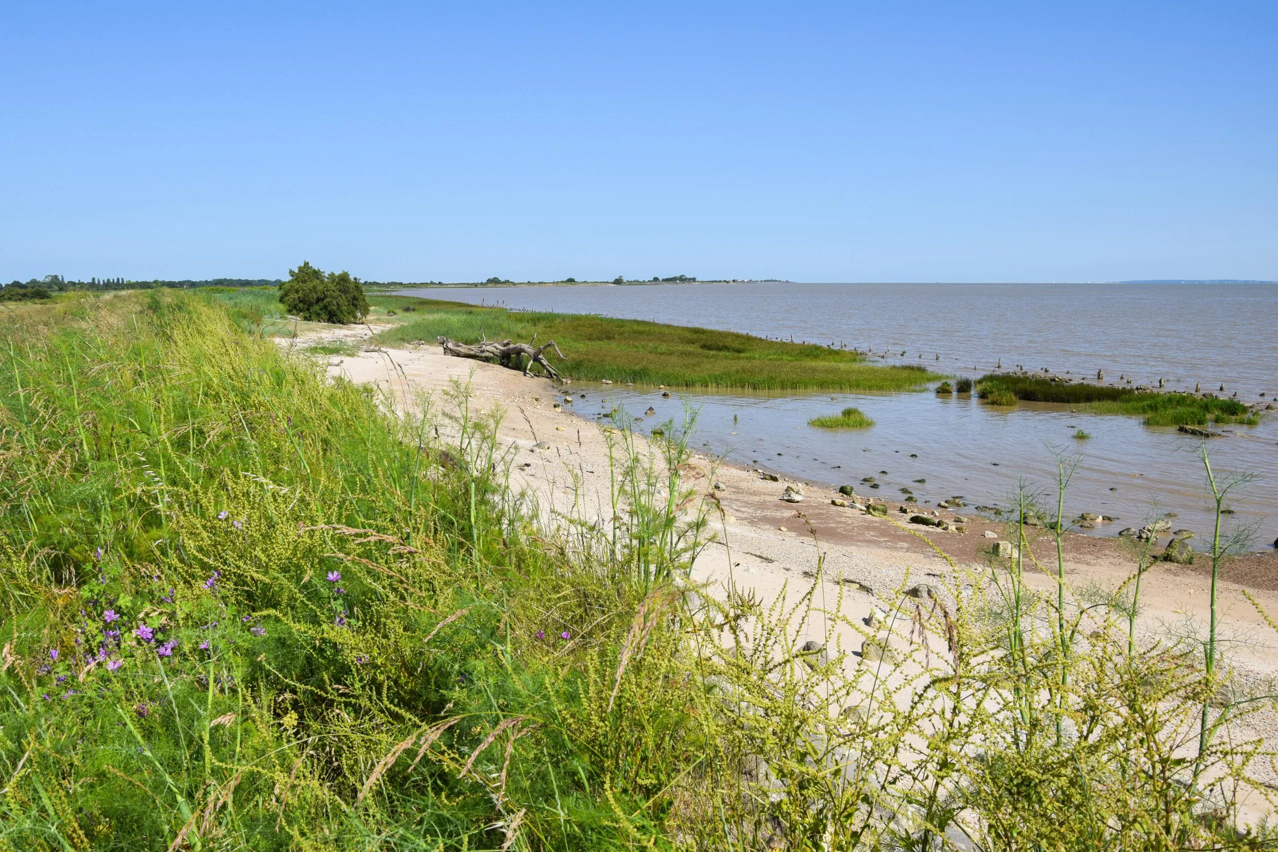 Boucle de l'Estuaire à VTT Valeyrac Nouvelle-Aquitaine