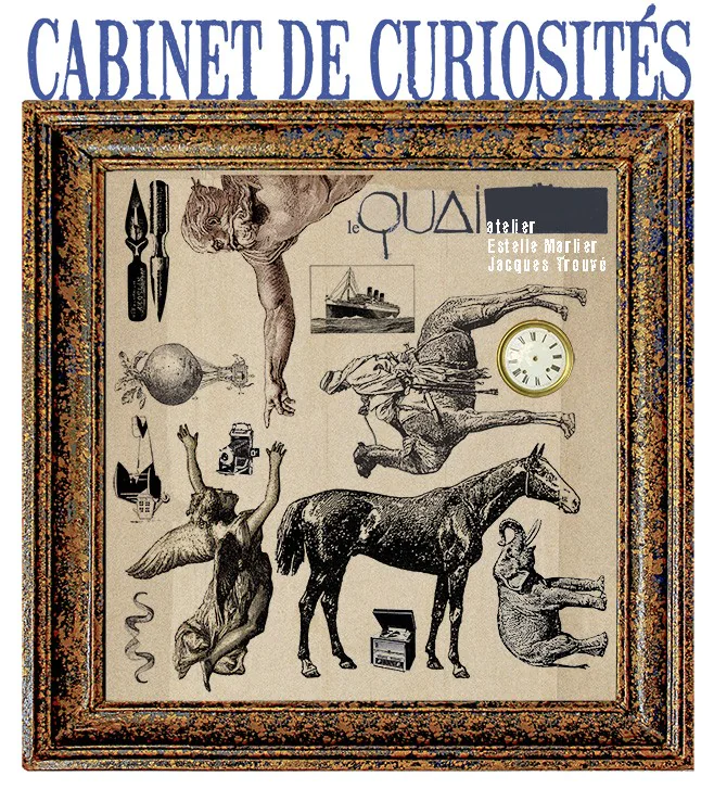 Cabinet de Curiosités