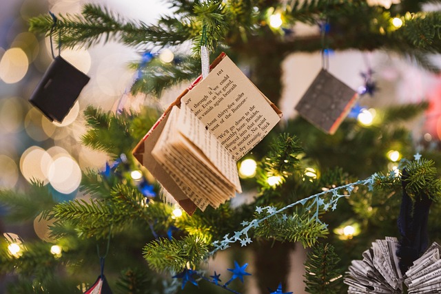 Journées de l'avent Marché de Noël à Cangey