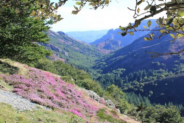 CIRCUIT TOURISTIQUE EN VOITURE DE L'ESPINOUSE AU CAROUX Cambon-et-Salvergues Occitanie