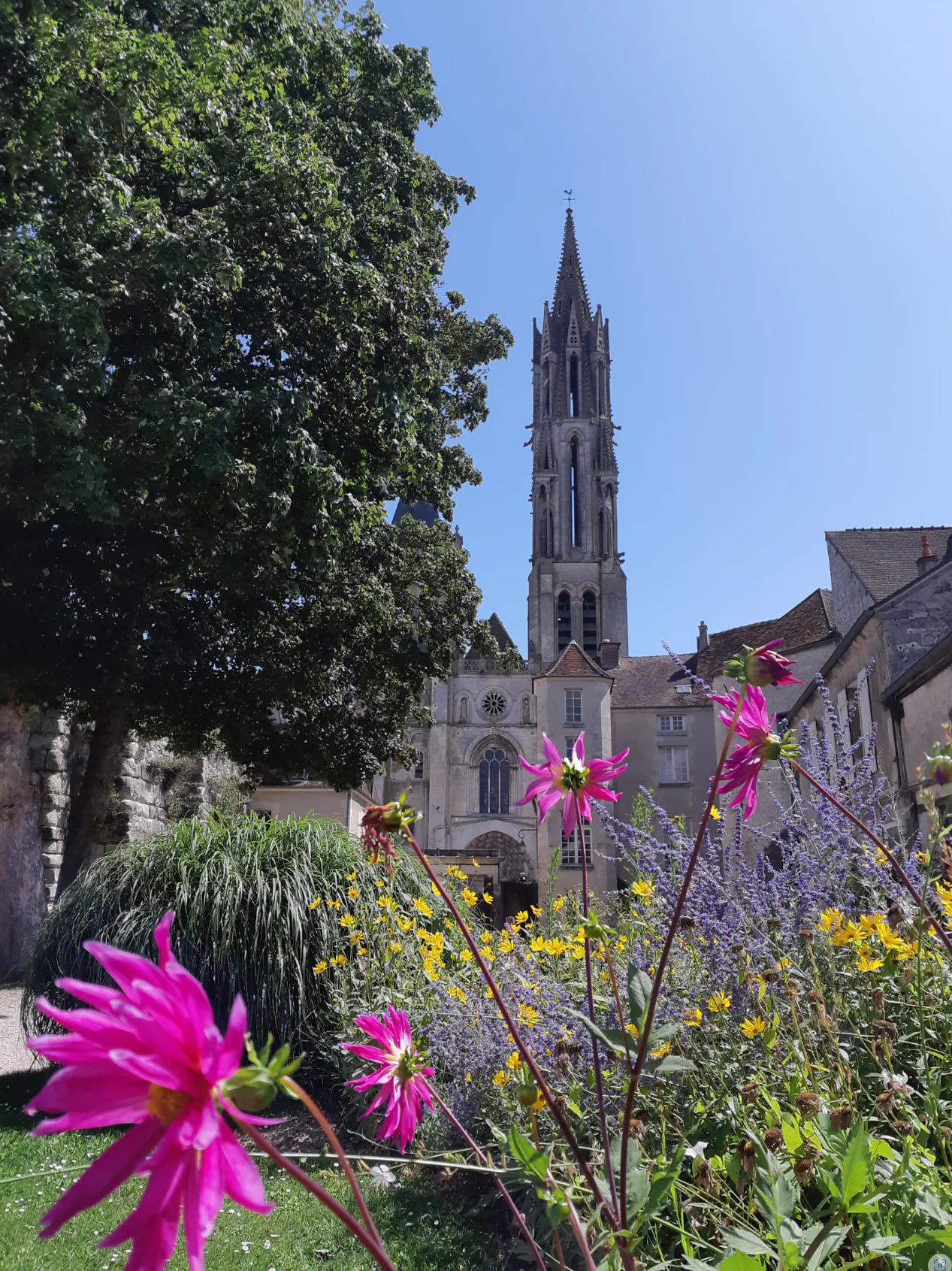 Senlis