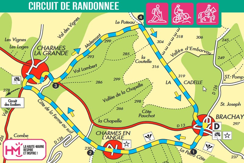 PHILIPPE LEBON PR N°55 Brachay Grand Est