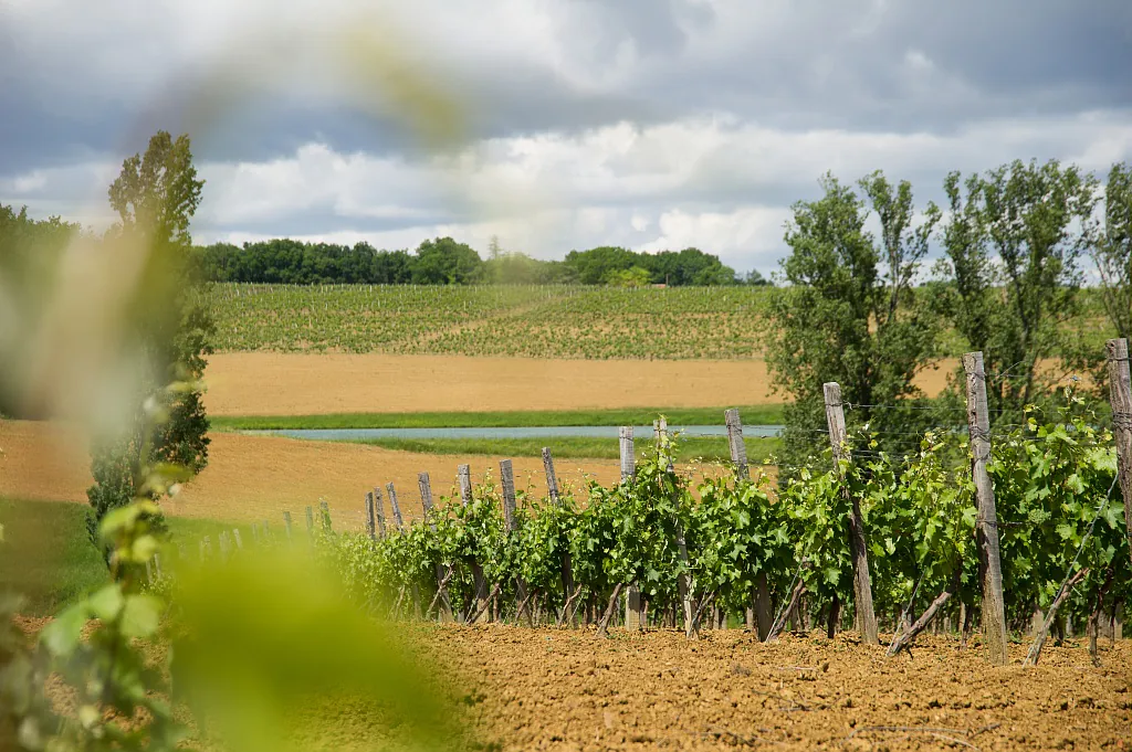 CIRCUIT AUCH-ROQUELAURE Auch Occitanie