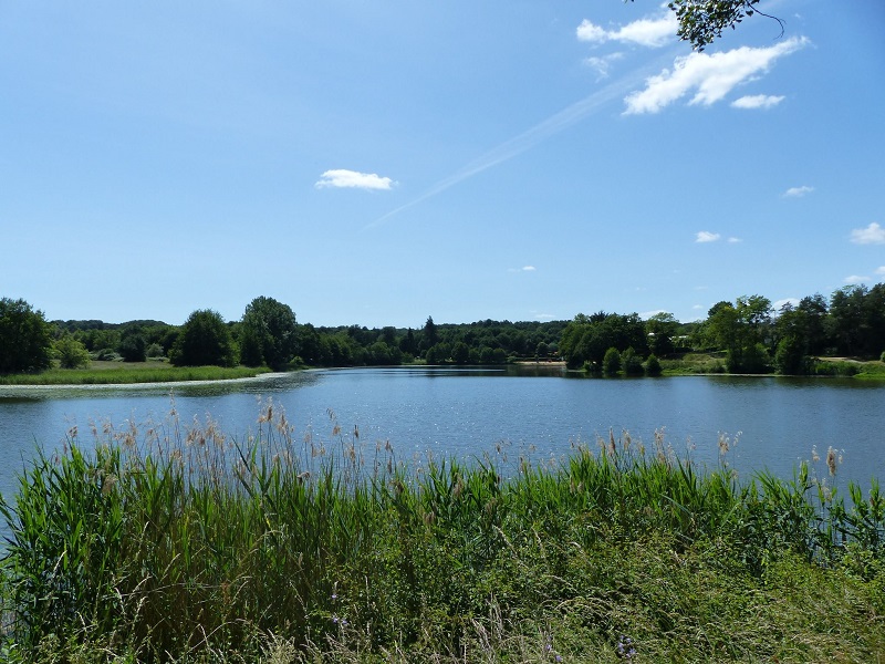 Le lac du Val Joyeux Château-la-Vallière Centre-Val de Loire