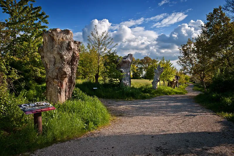 La boucle des Trognes Boursay Centre-Val de Loire