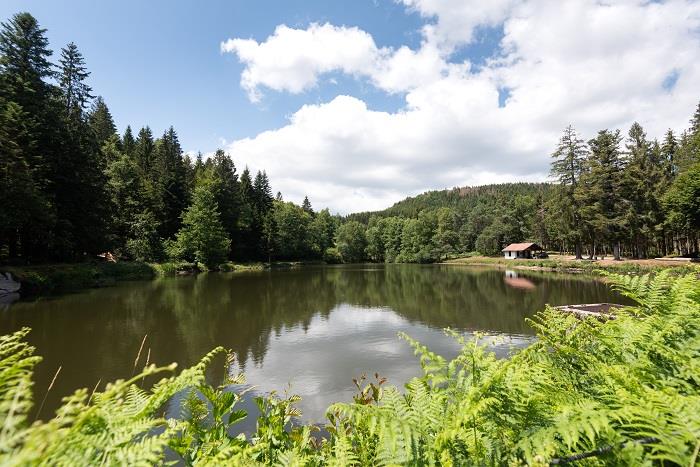 ITINÉRAIRE VTT N° 1 ÉTANG DU FRAC DÉPART ÉTANG DU FRAC Fresse-sur-Moselle Grand Est