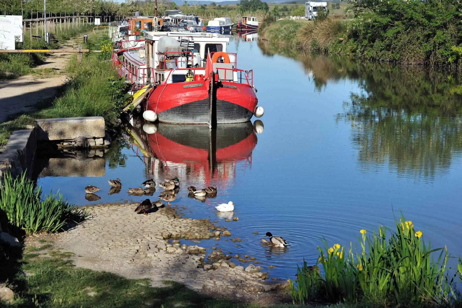 RANDONNÉE LE CANAL DU MIDI Capestang Occitanie