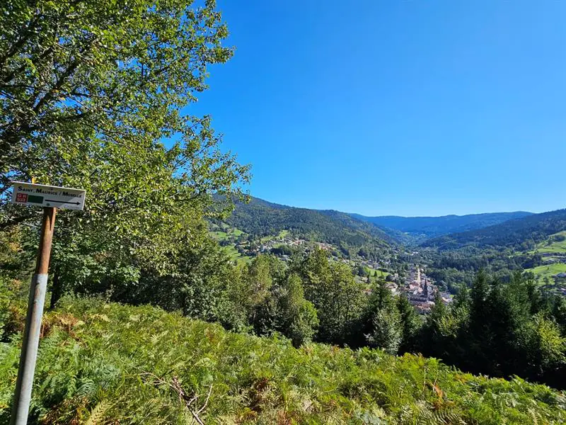 RANDONNÉE LA BORNE DES 3 COMMUNES Saint-Maurice-sur-Moselle Grand Est