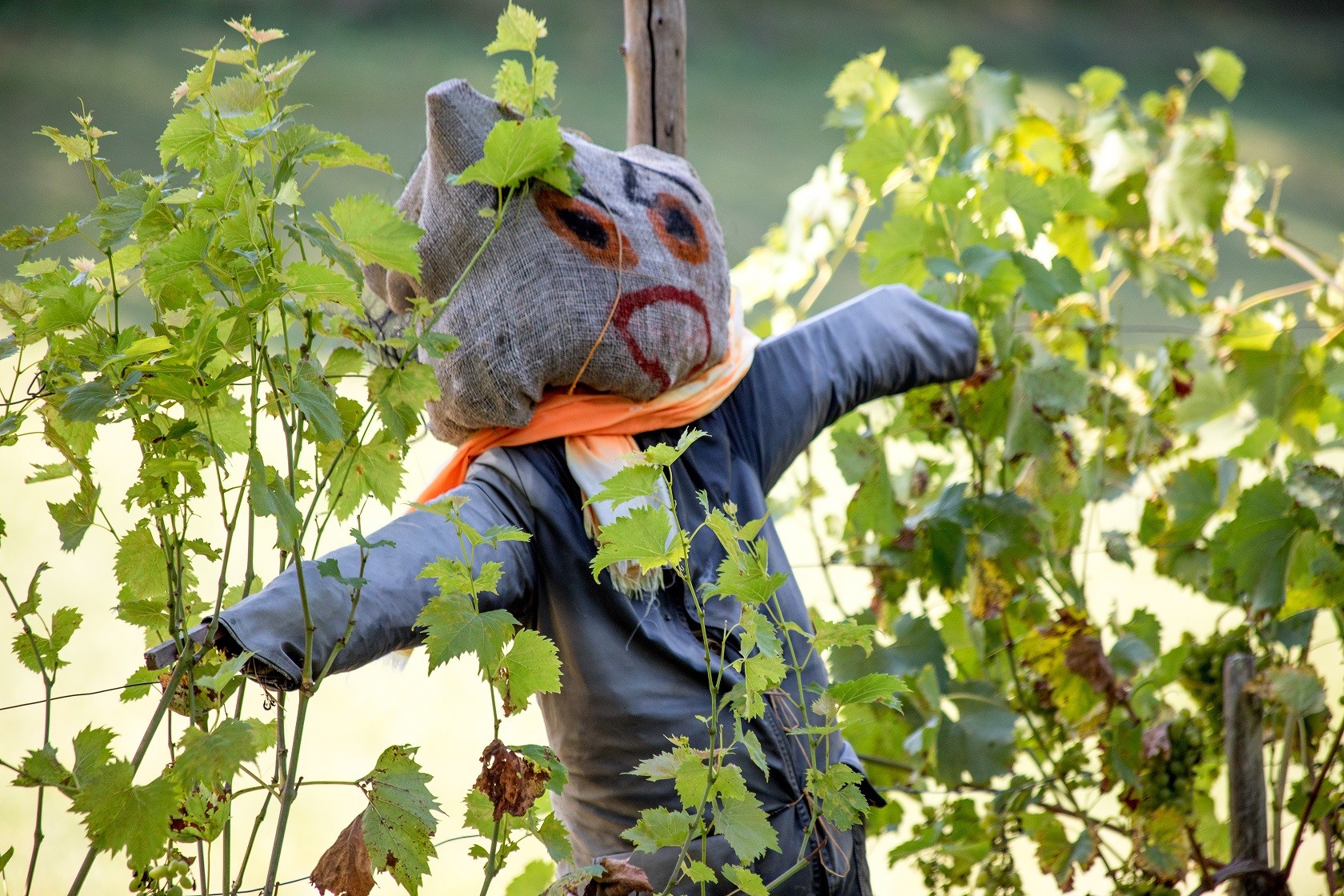 Atelier-goûter "Fabrique ton épouvantail !" au Jardin Bourian