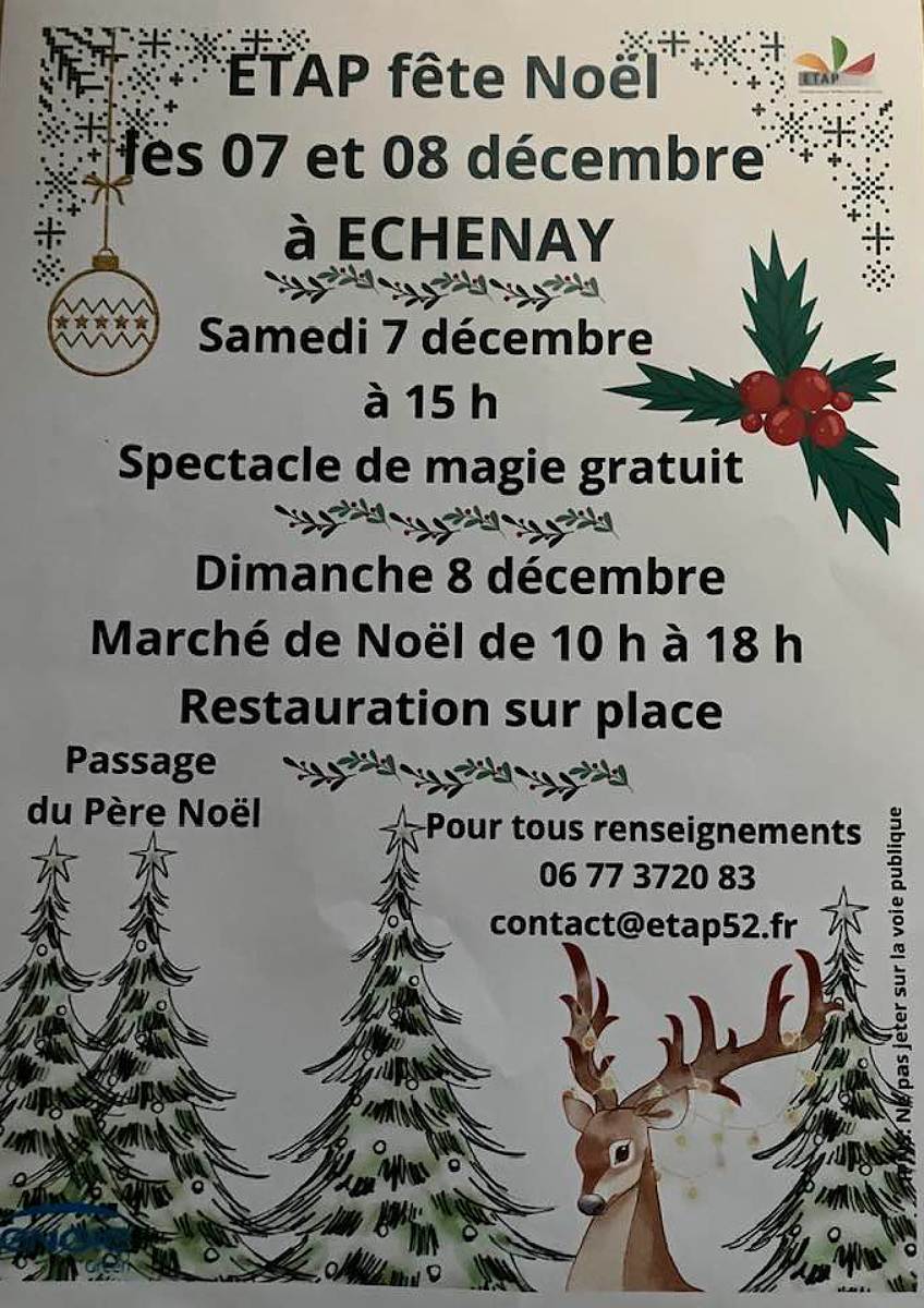 MARCHE DE NOEL A ECHENAY