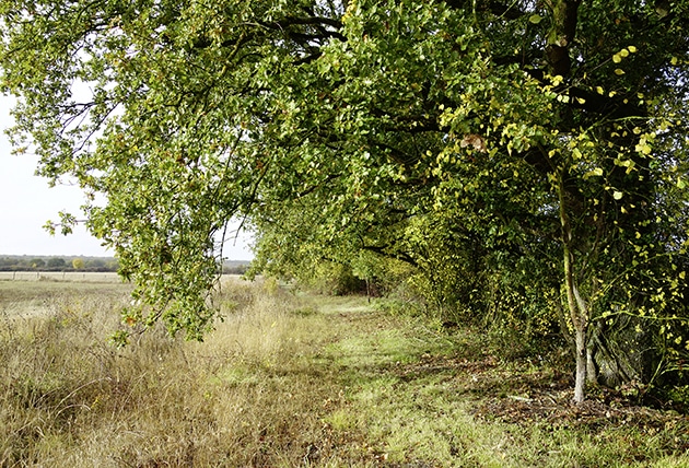 Randonnée de Ferrière-Larçon