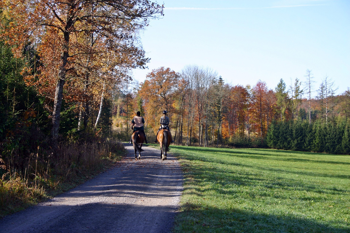 Circuit de la Chapelle Saint-Joseph Thury-Harcourt-le-Hom Normandie