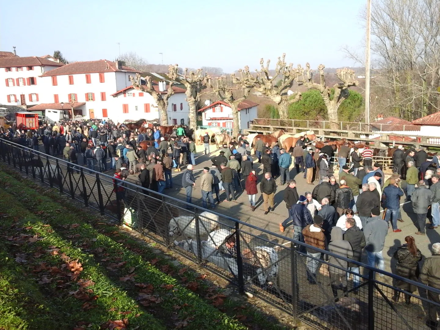 Foire aux Pottok