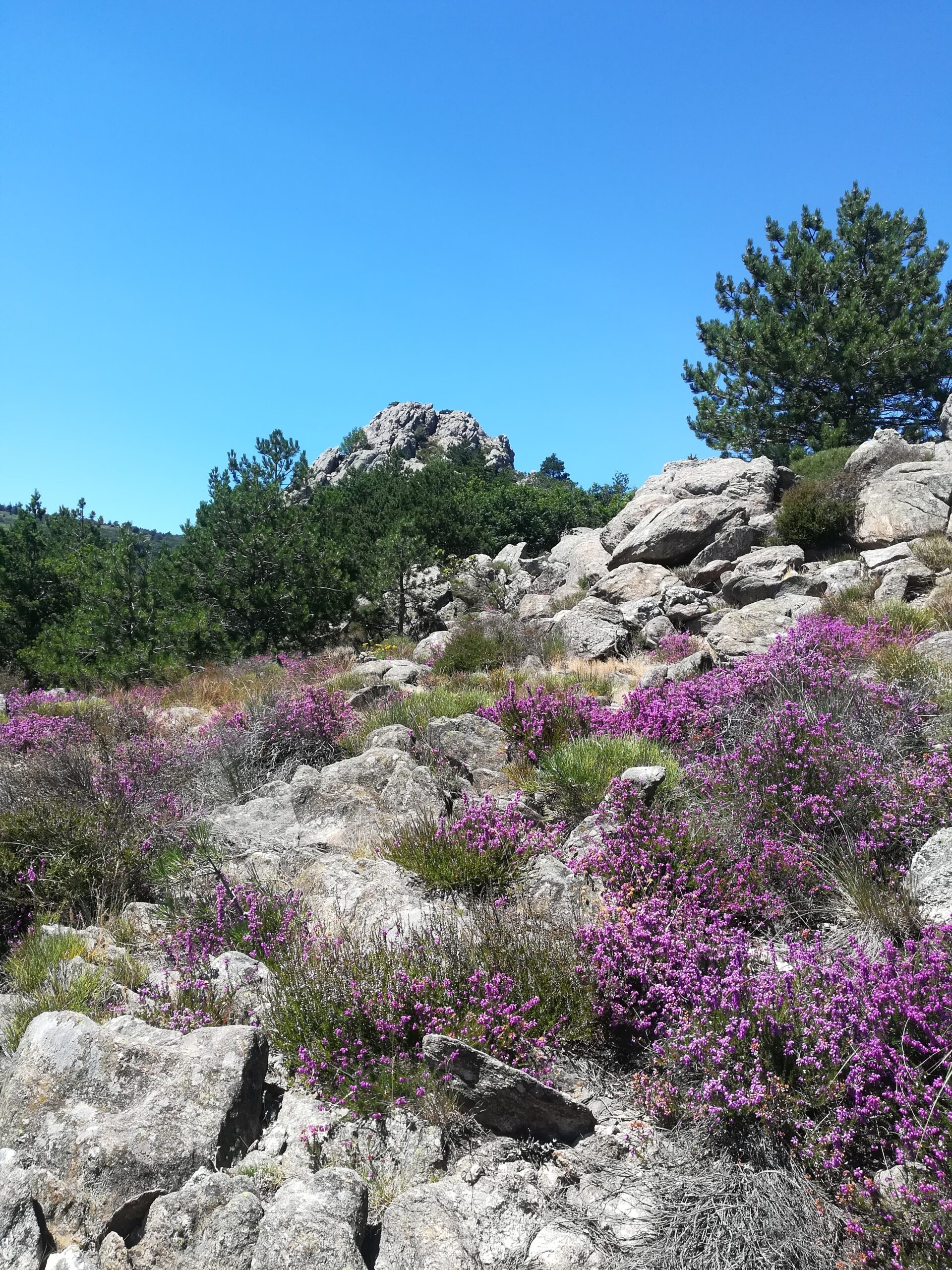 RANDONNEE DES TERRASSES DE L'ESPINOUSE Saint-Julien Occitanie