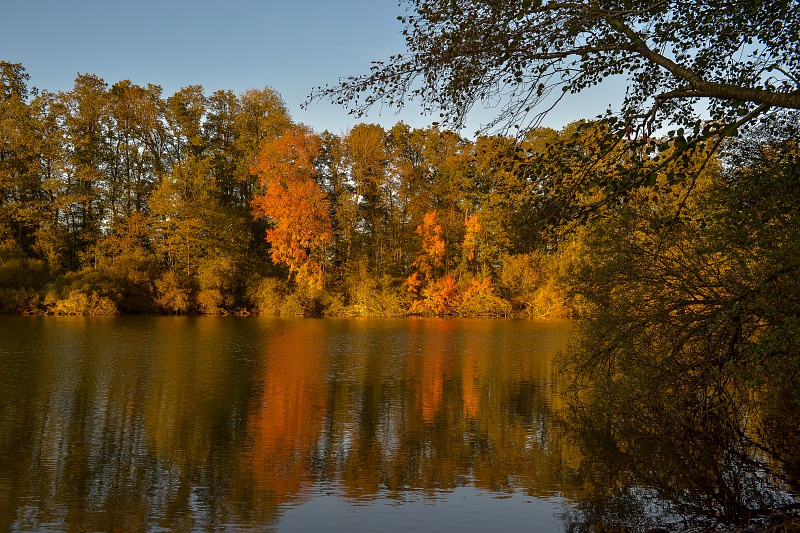 Les Templiers Couëtron-au-Perche Centre-Val de Loire