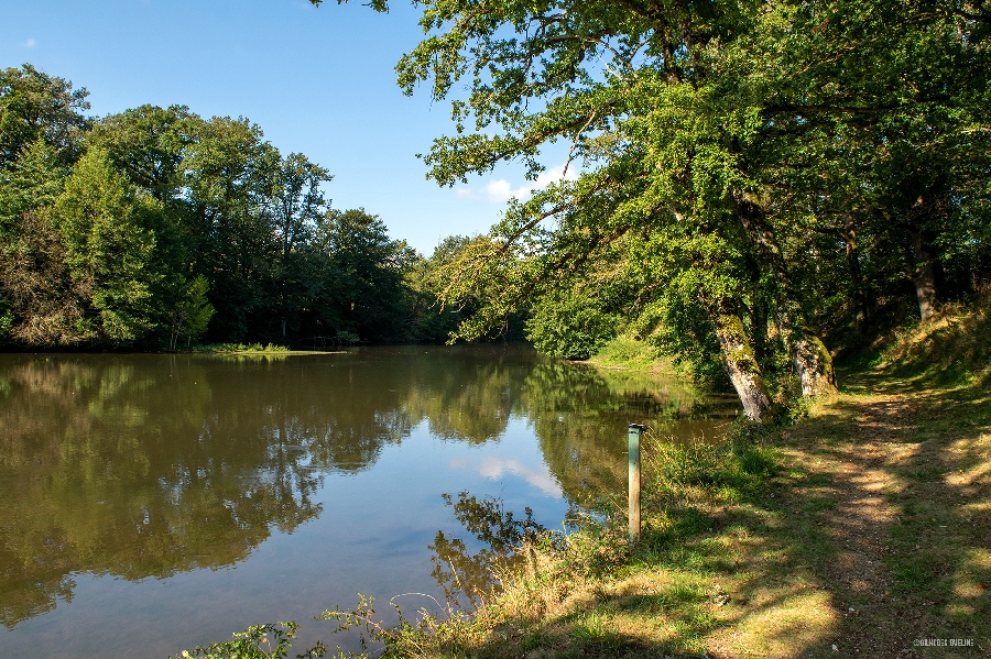 Pêche Plan d'eau du Glandou Cassagnes-Bégonhès Occitanie