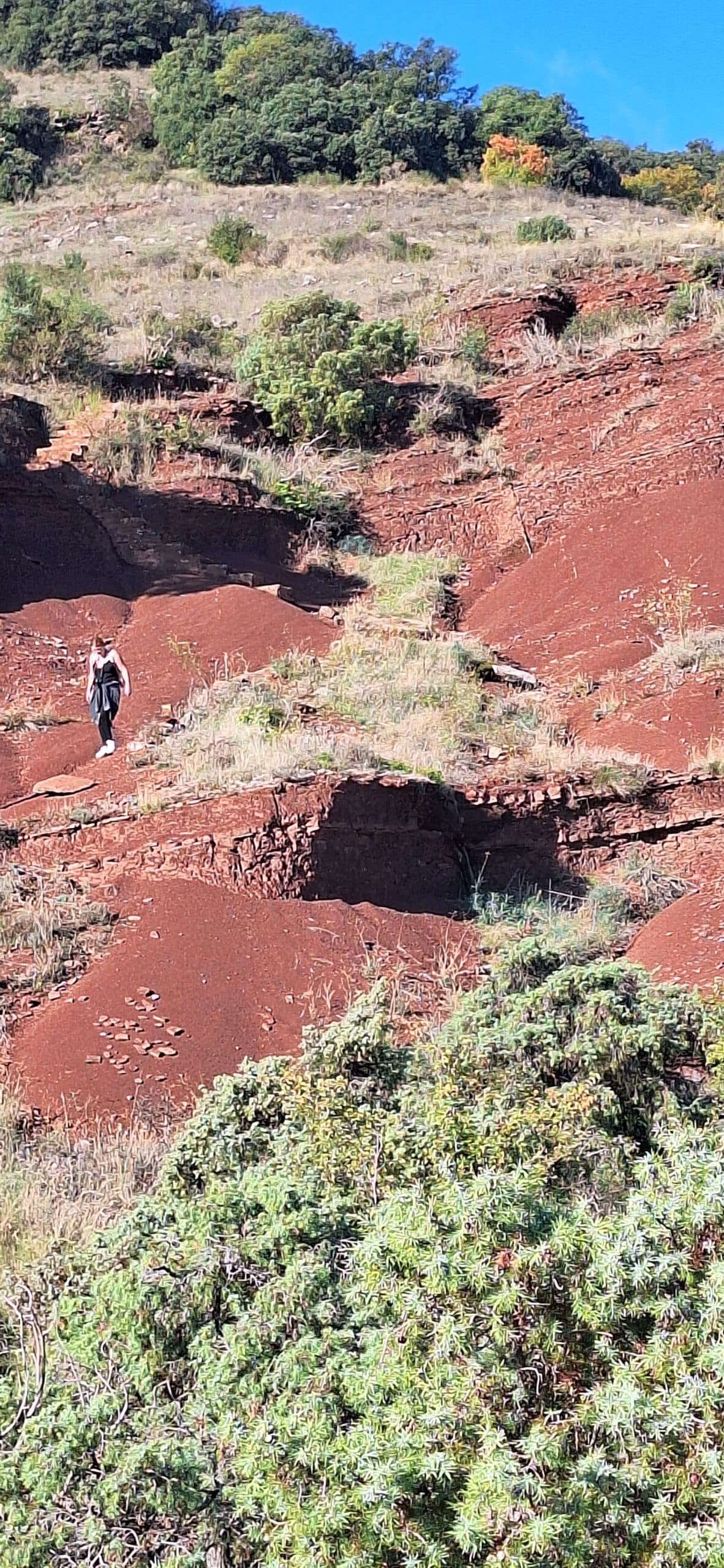 RANDONNÉE DU CAYROUX Le Puech Occitanie