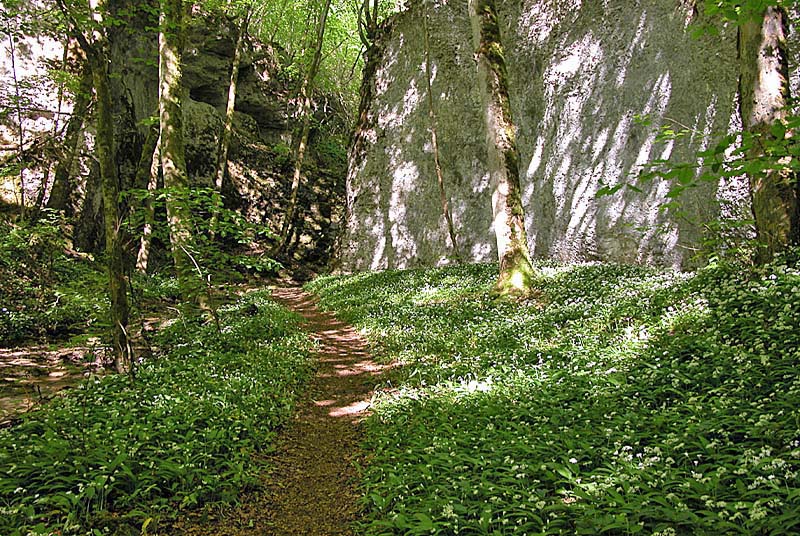 SENTIER DE DECOUVERTE DU SITE DE LA VINGEANNE Aprey Grand Est