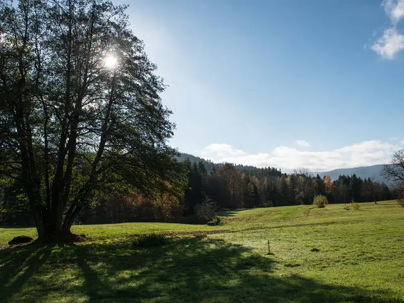 CIRCUIT DE LA CROIX DES HETRES Vagney Grand Est