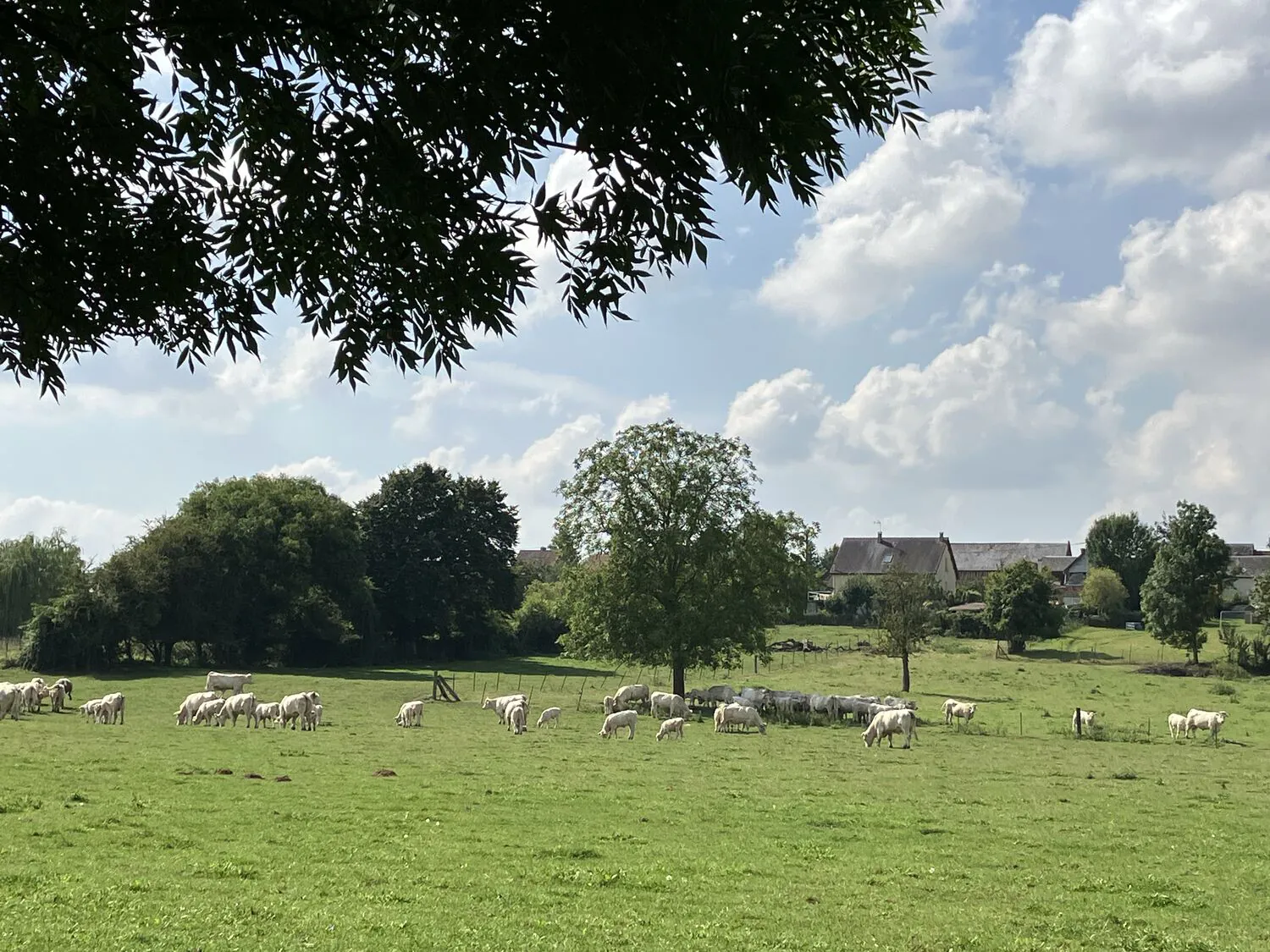 La Source de la Noye Breteuil Hauts-de-France