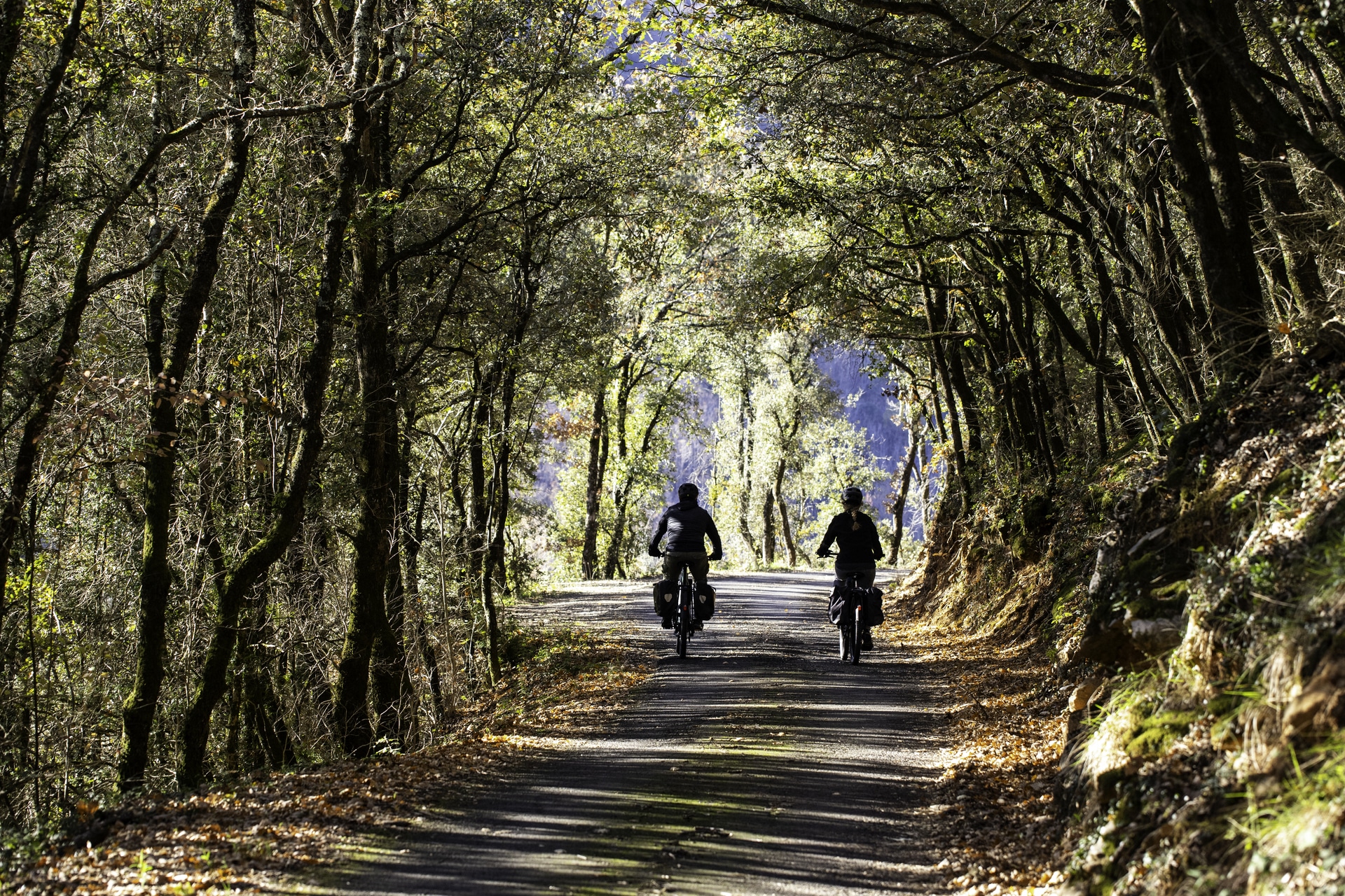 BOUCLE CYCLO N°30 A LA DÉCOUVERTE DE PASSA PAÏS ET DES MONTS DU HAUT-LANGUEDOC Riols Occitanie