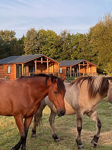 La Brenne à cheval circuits en marguerite au départ du centre équestre et gîte de l'Epineau Ruffec Centre-Val de Loire