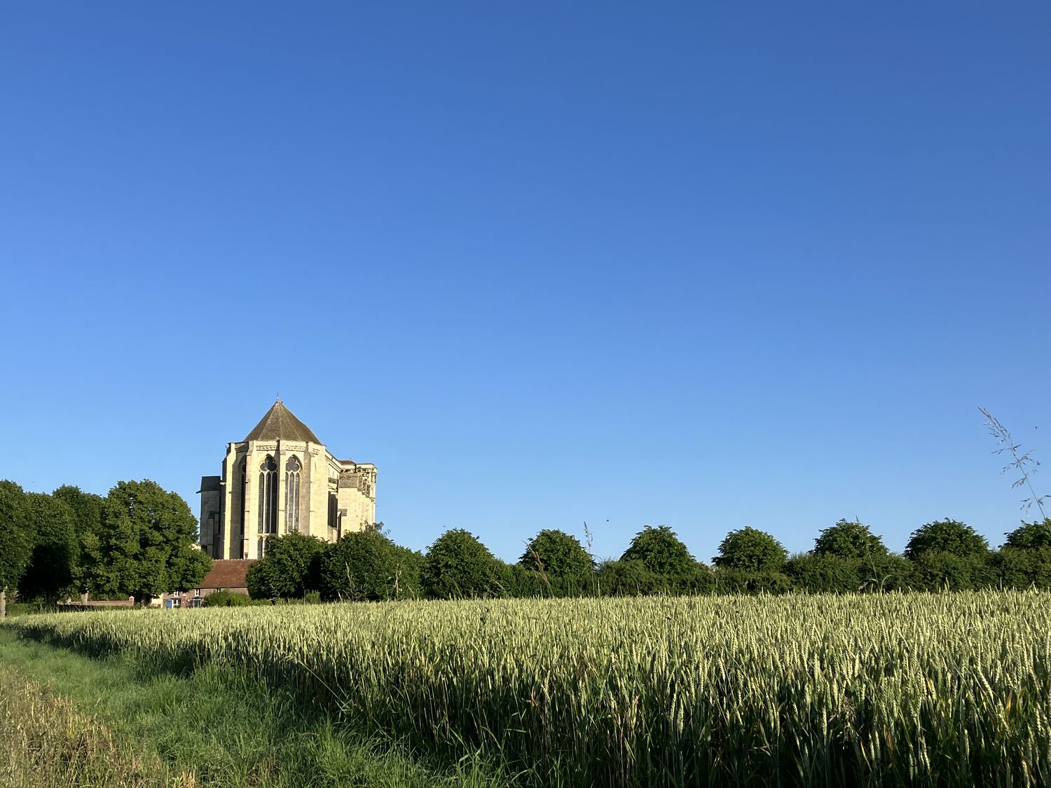 Le chemin de la vallée rouge Saint-Martin-aux-Bois Hauts-de-France
